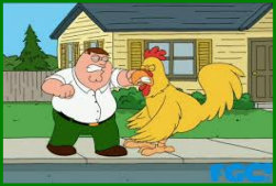 chicken2